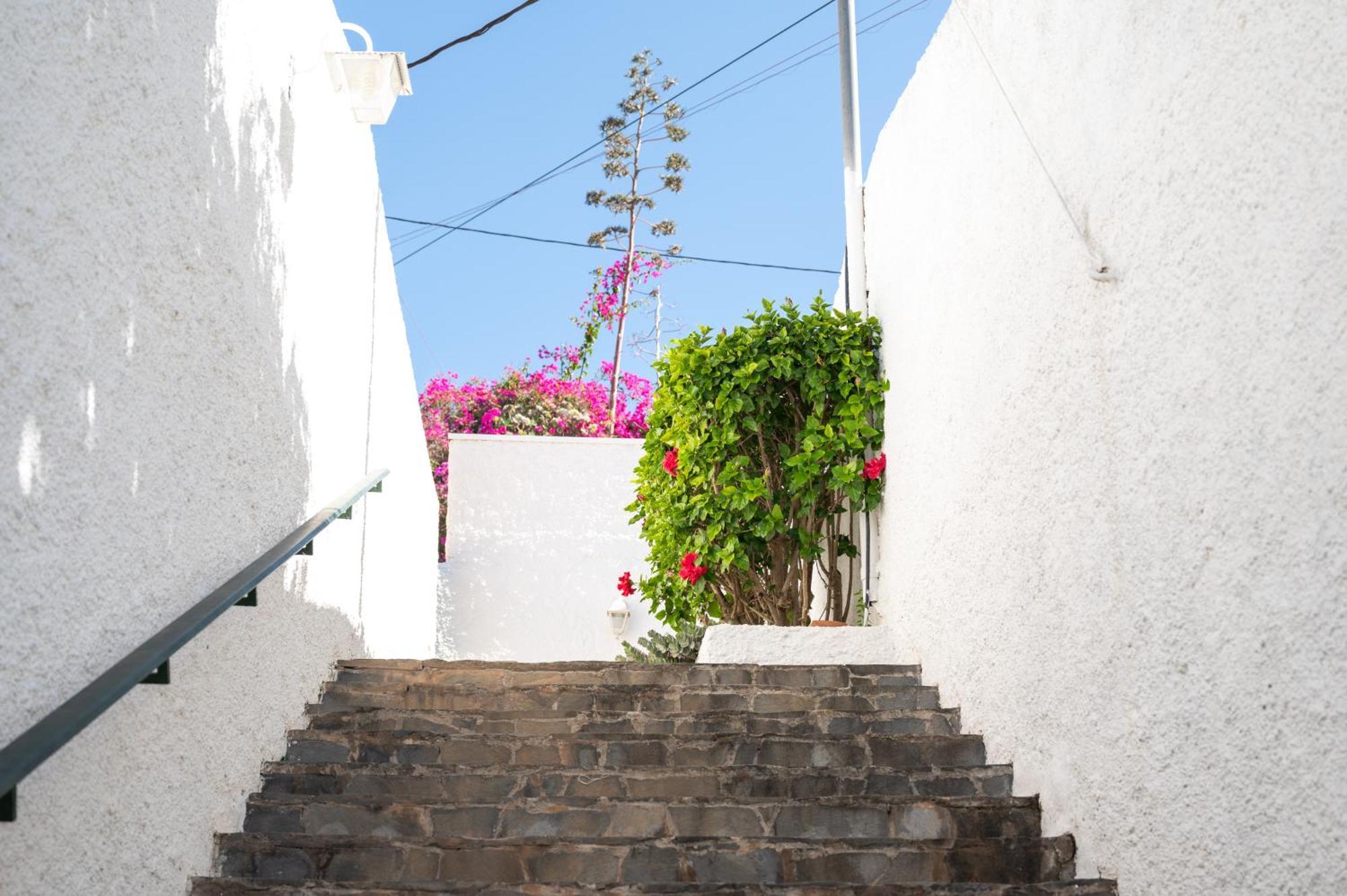 Hébergement de vacances Oasis El Sauzal - Con Piscina Y Encanto Puntillo Del Sol