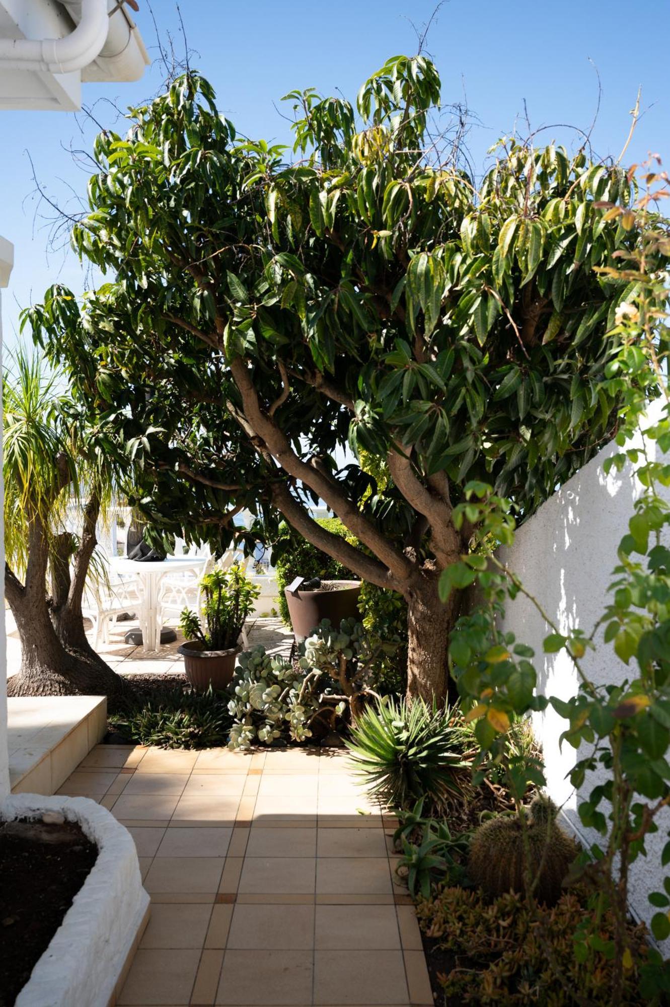 Oasis El Sauzal - Con Piscina Y Encanto Hébergement de vacances Puntillo Del Sol